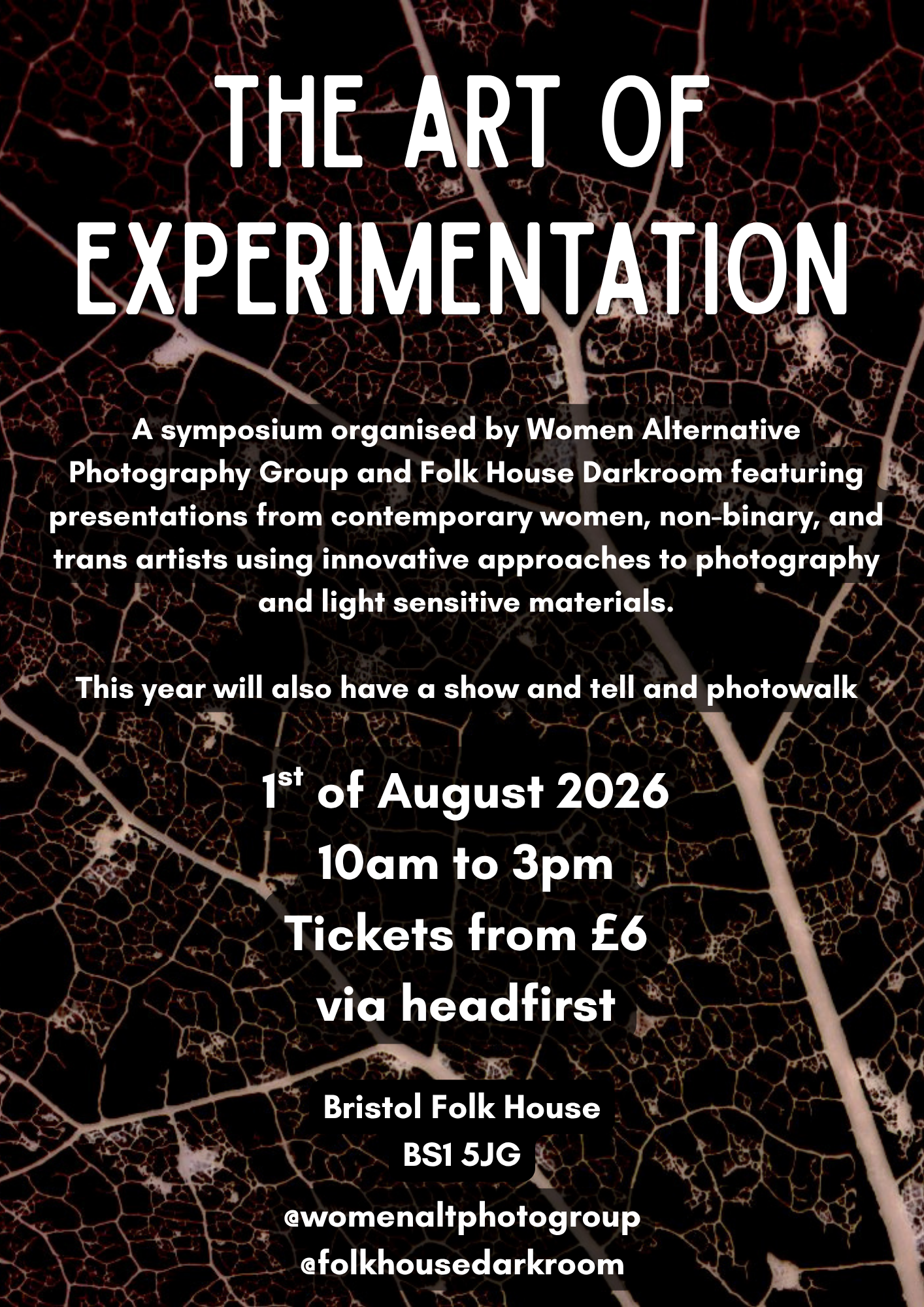 The Art of Experimentation: Alternative Photography